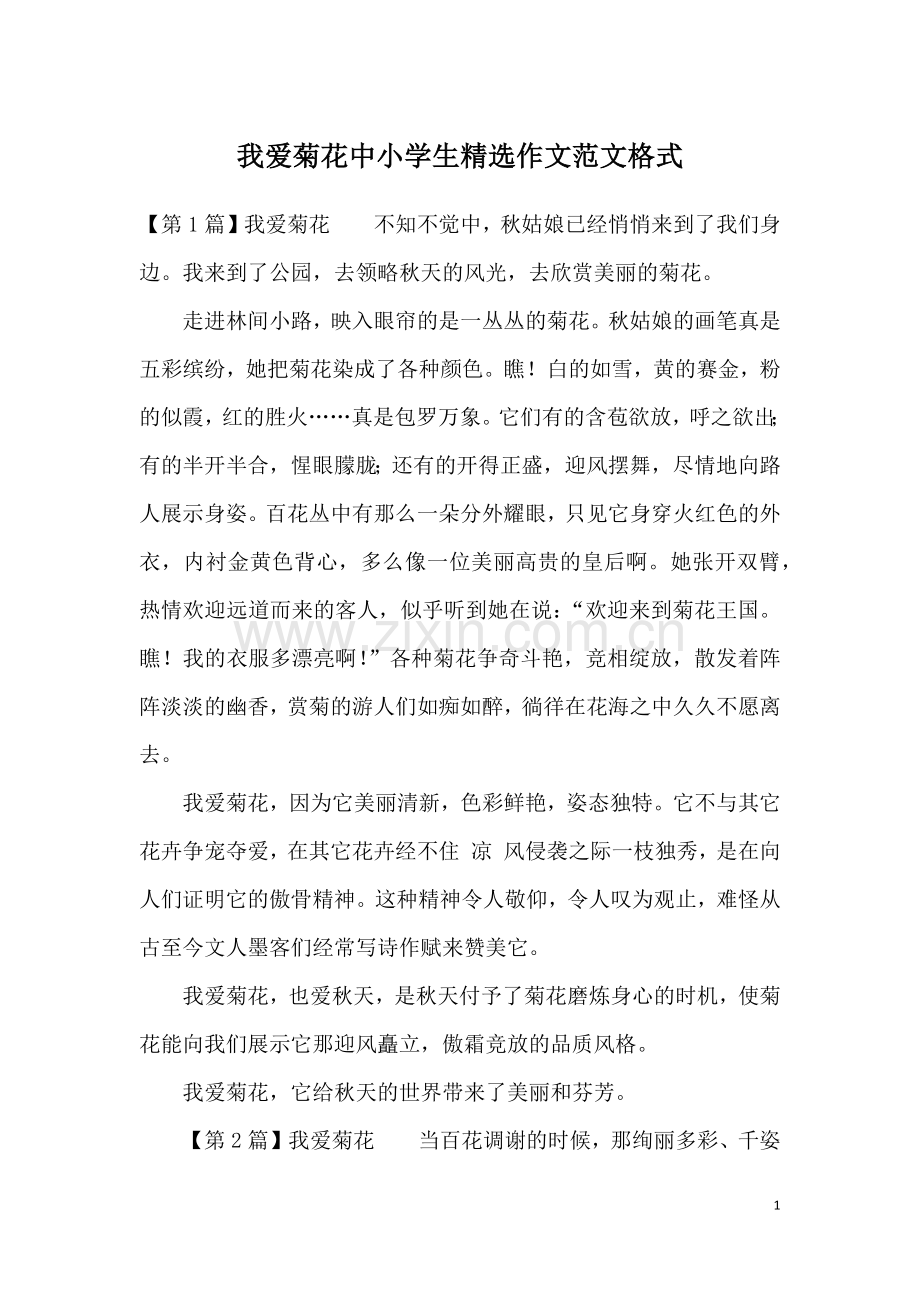 我爱菊花中小学生作文范文格式.doc_第1页