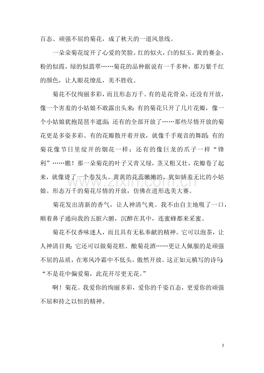 我爱菊花中小学生作文范文格式.doc_第2页