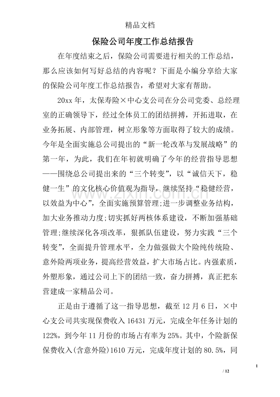 保险公司年度工作总结报告.doc_第1页