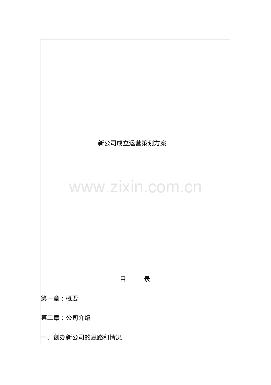 新公司成立运营策划方案.pdf_第1页