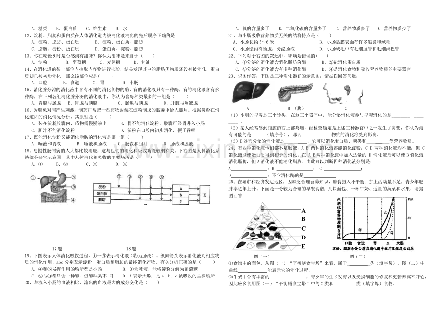 初中生物七年级下册第二章《人体的营养》复习学案.doc_第2页