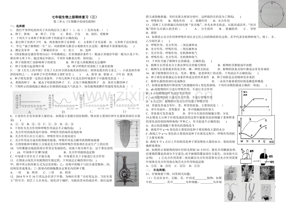 第三单元《生物圈中的绿色植物》期末复习试题.doc_第1页