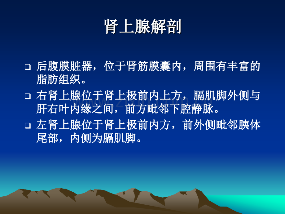 肾上腺常见疾病影像诊断(1).ppt_第2页