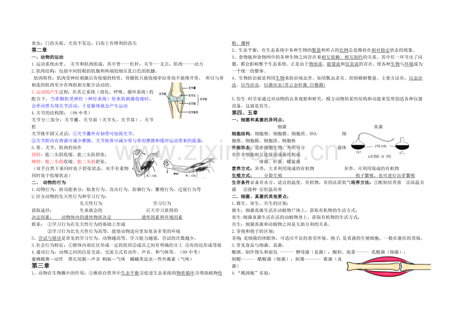 人教版八年级生物上册知识点总结.doc_第2页