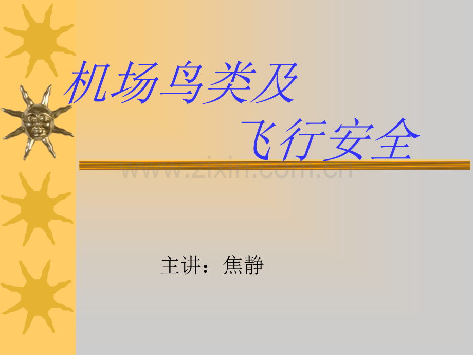 机场鸟类及飞行安全.ppt_第1页