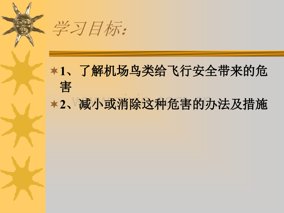 机场鸟类及飞行安全.ppt_第2页