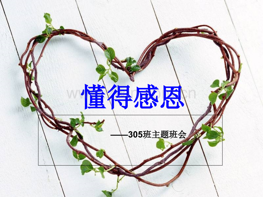 305班《懂得感恩-自强不息》主题班会.ppt_第1页