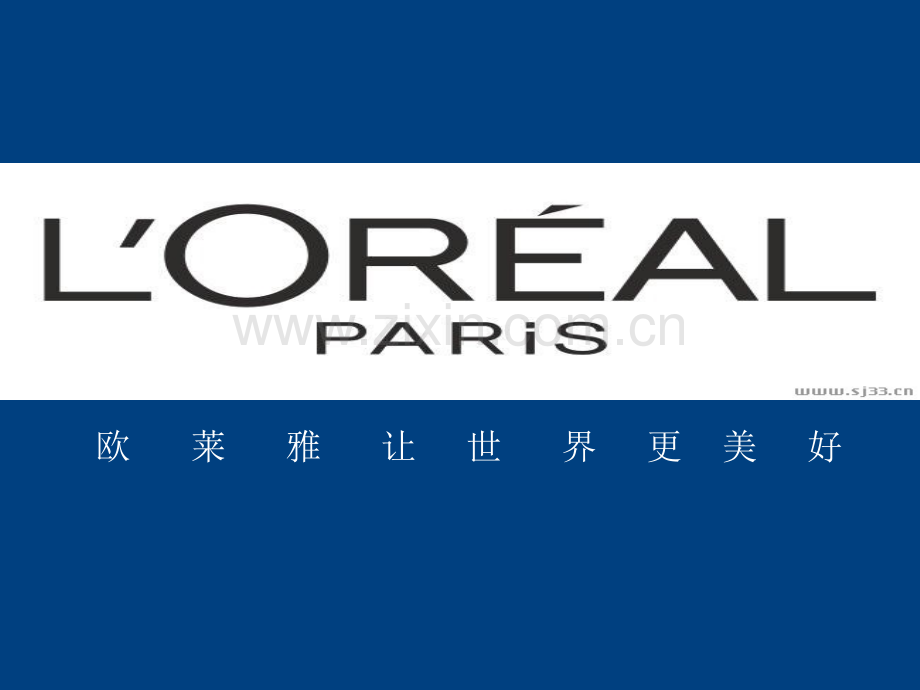某化妆品品牌的市场营销策略(绝对经典).ppt_第1页