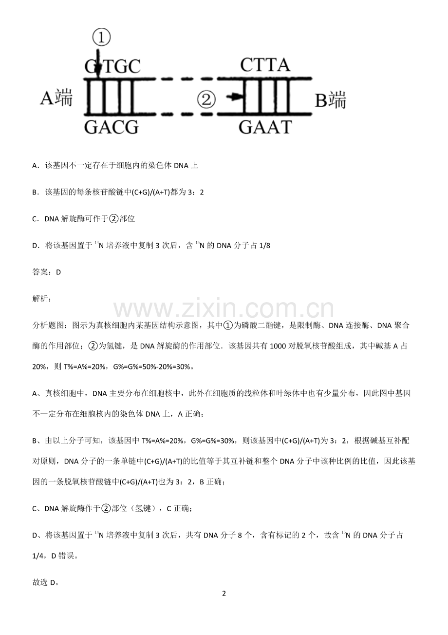 高中生物必修二基因的本质全部重要知识点.pdf_第2页