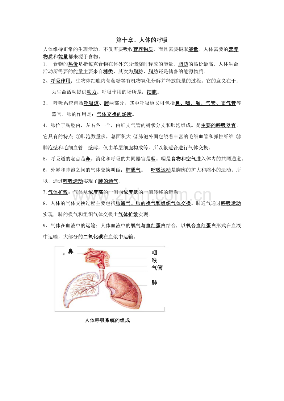 第十章、人体的呼吸知识点.doc_第1页