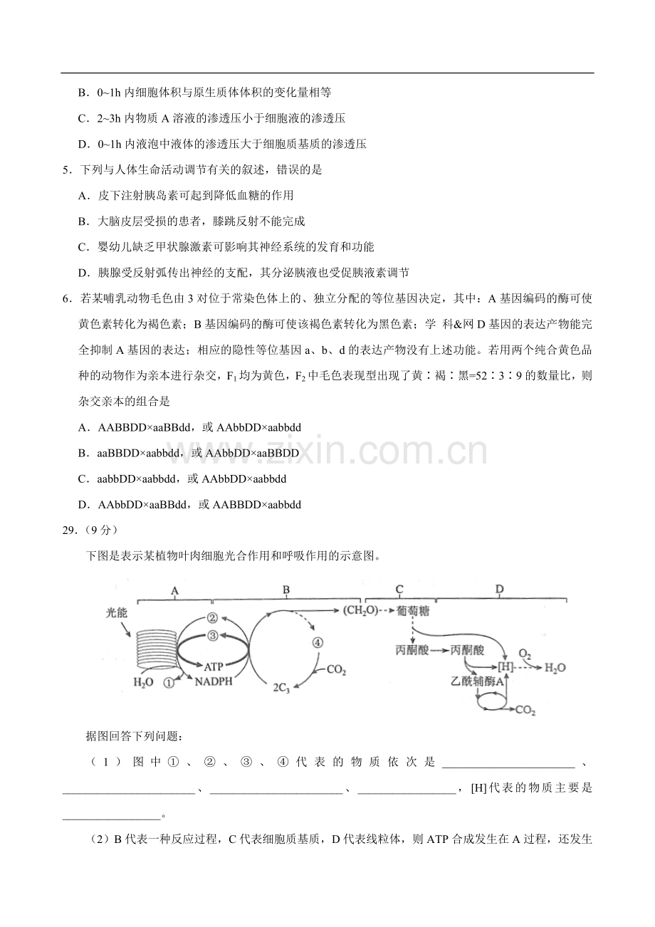 全国统一高考生物试题及答案(新课标2卷).doc_第2页