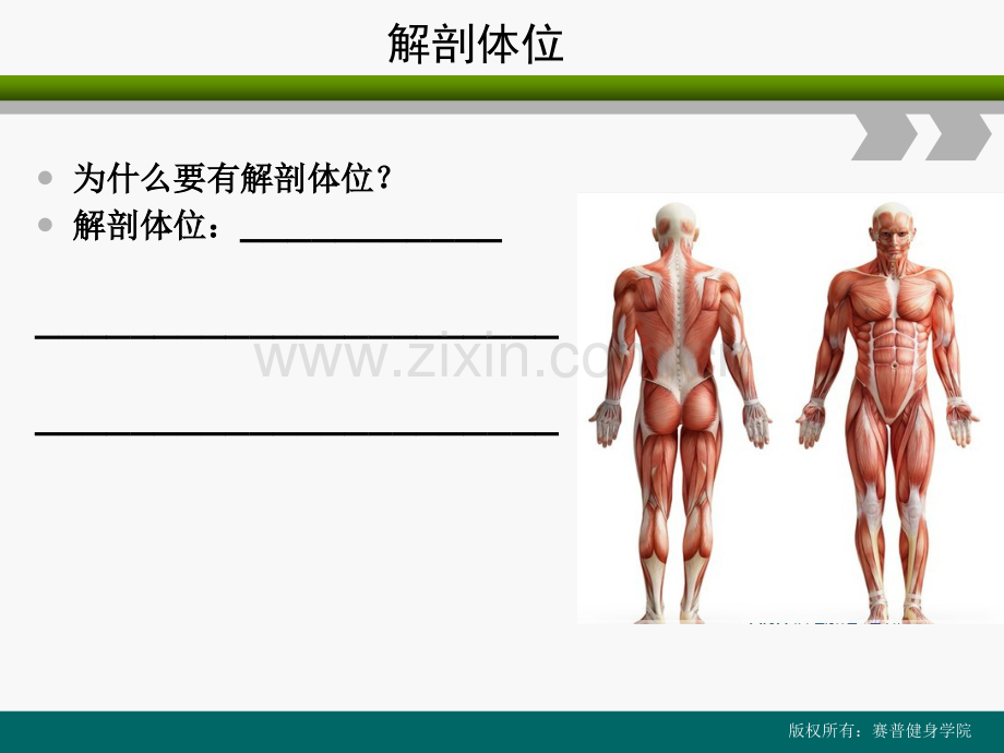 私人健身教练课程第二章《解剖学》.ppt_第2页