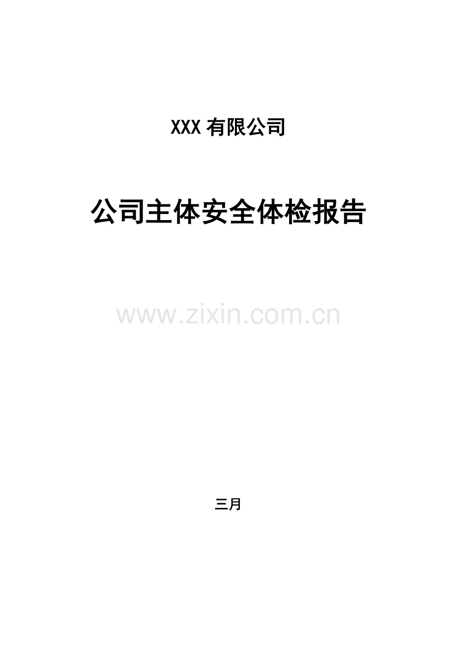 X有限公司企业主体安全体检报告.doc_第1页