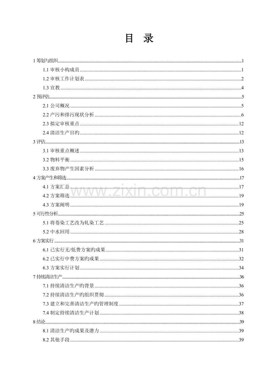 印染股份有限公司清洁生产审核报告.doc_第1页