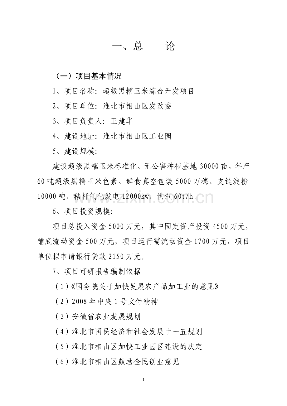 超级黑糯玉米项目可行性分析报告.doc_第1页