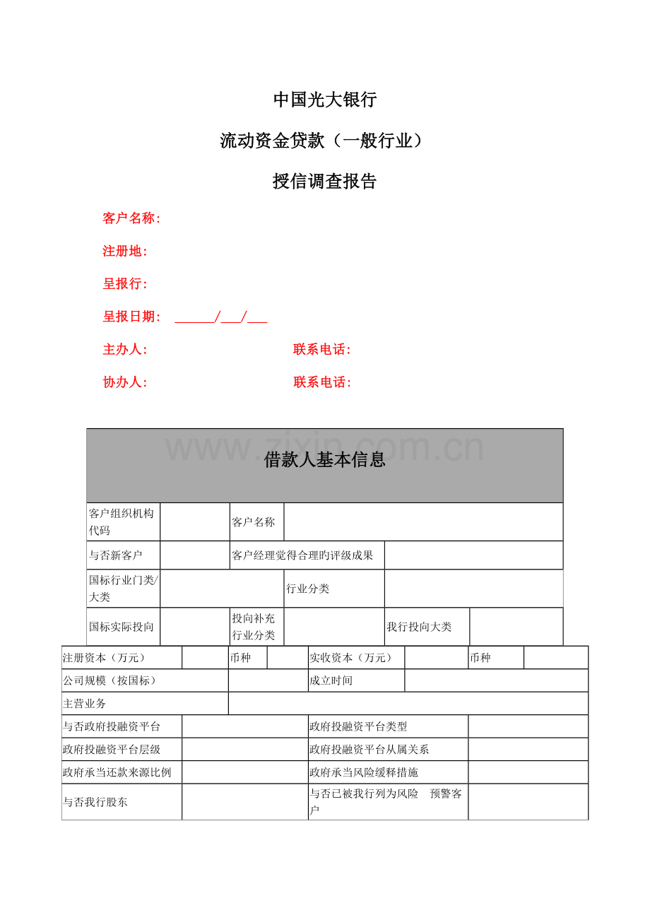 中国光大银行授信调查审查报告-(模版).docx_第1页
