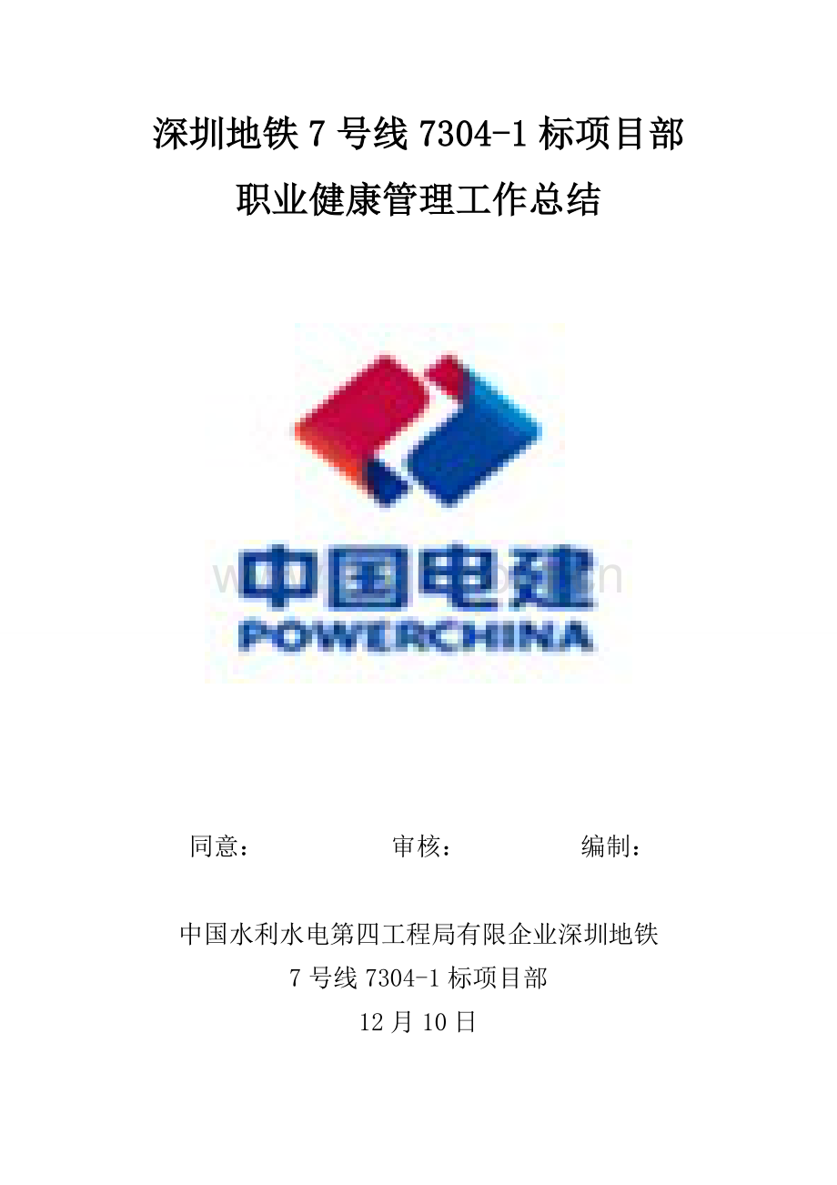 职业健康管理工作总结.doc_第2页