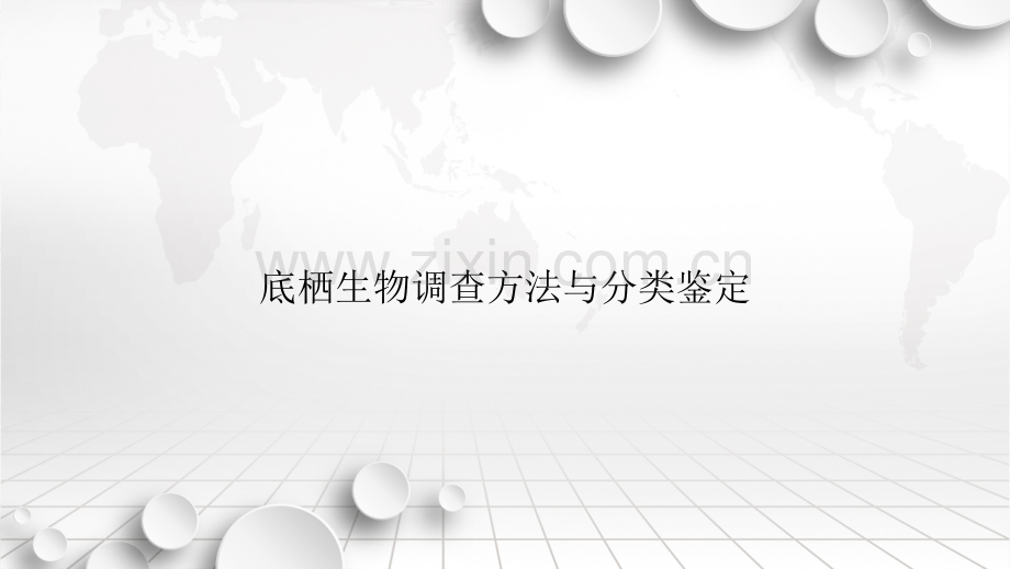 底栖生物调查方法与分类鉴定.ppt_第1页