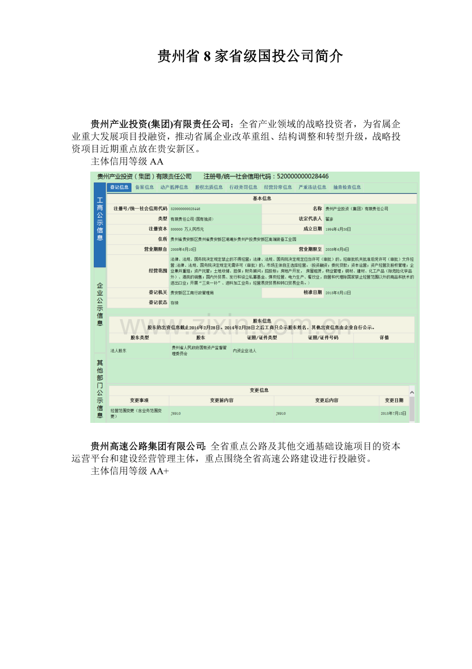 贵州省八大平台公司简介.doc_第1页