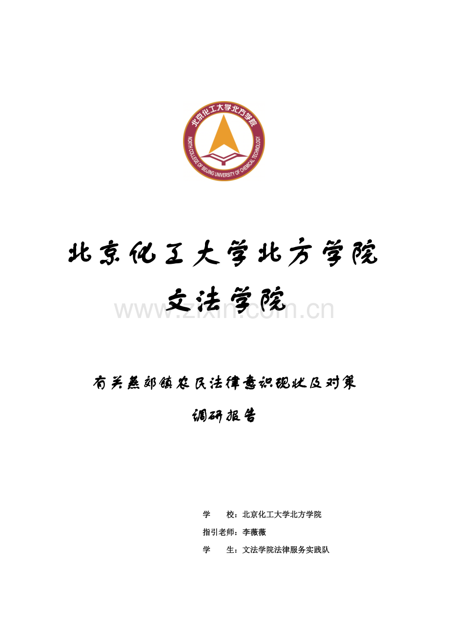 团队调查报告.doc_第1页