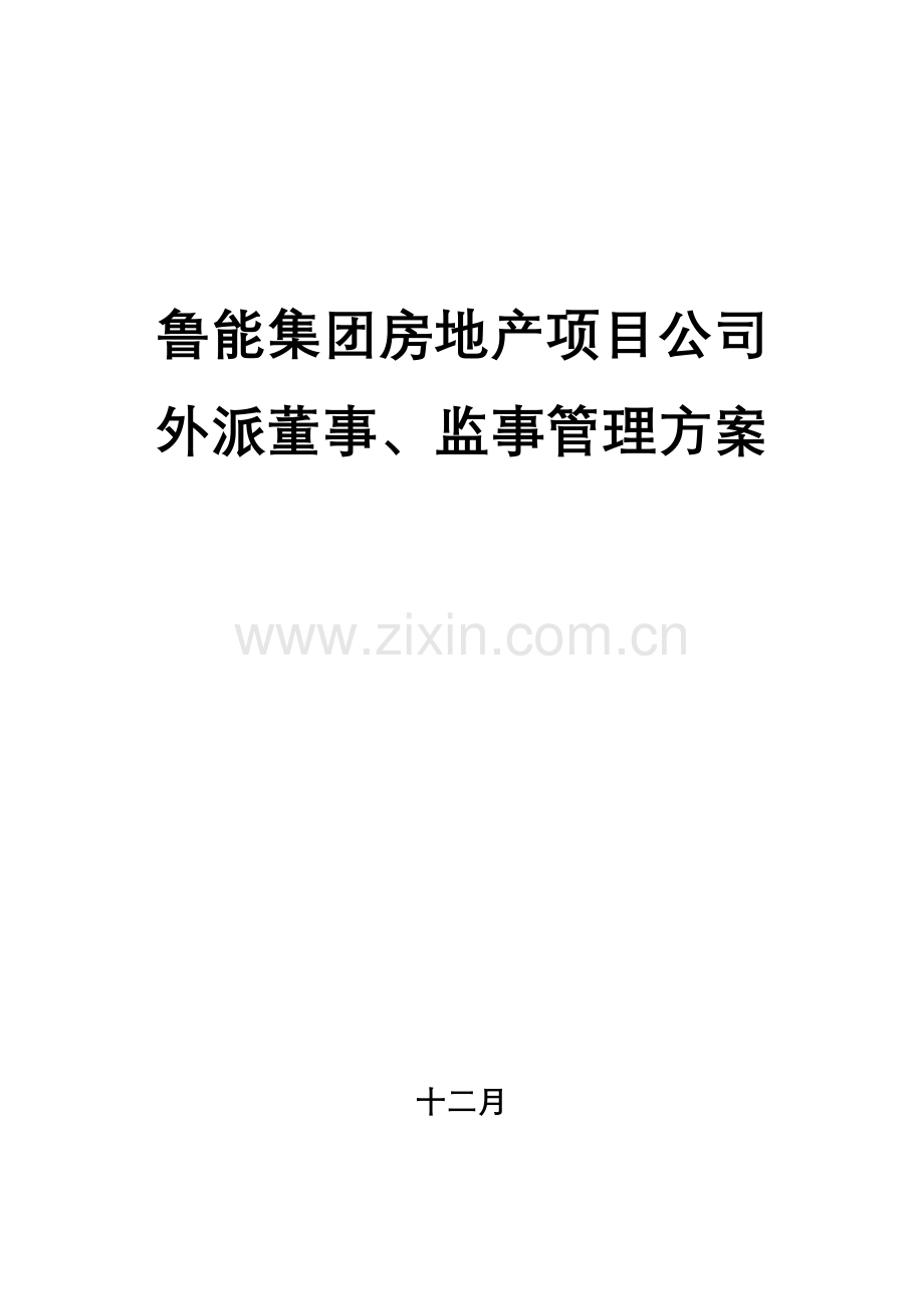 外派房地产项目公司董事监事管理方案.doc_第1页