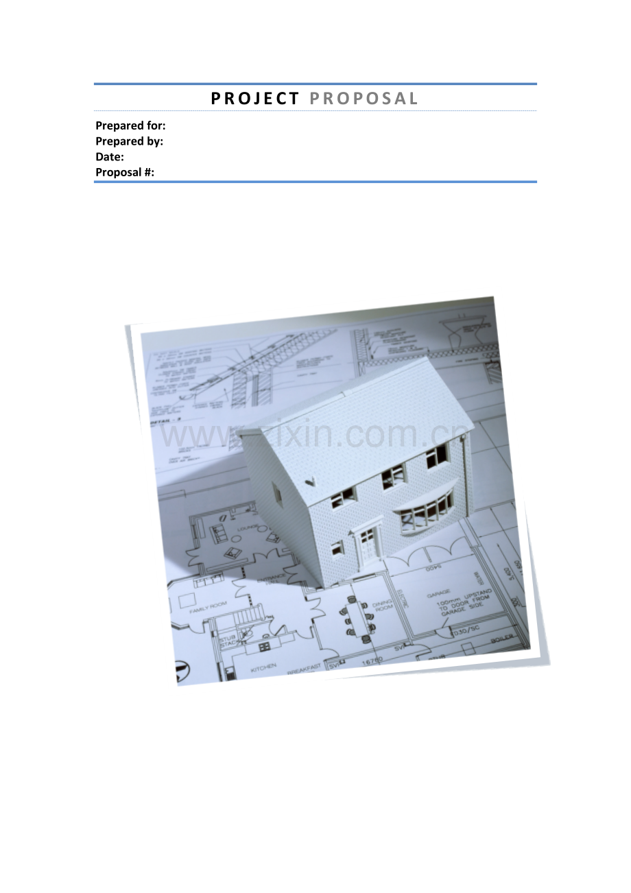 完整VI项目策划书.docx_第1页