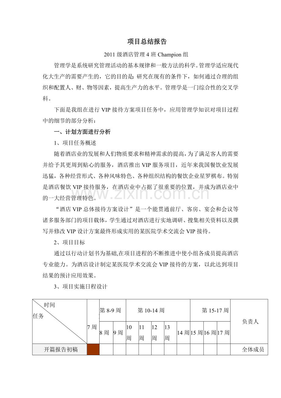 项目总结报告Champion.doc_第1页