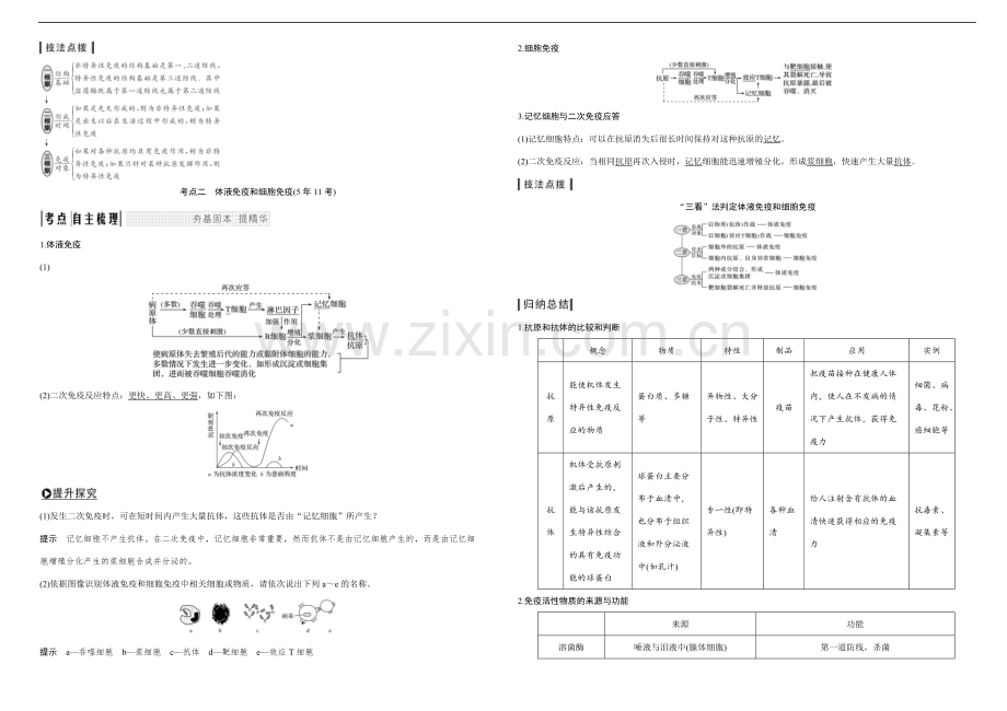 免疫调节知识点整理.pdf_第2页