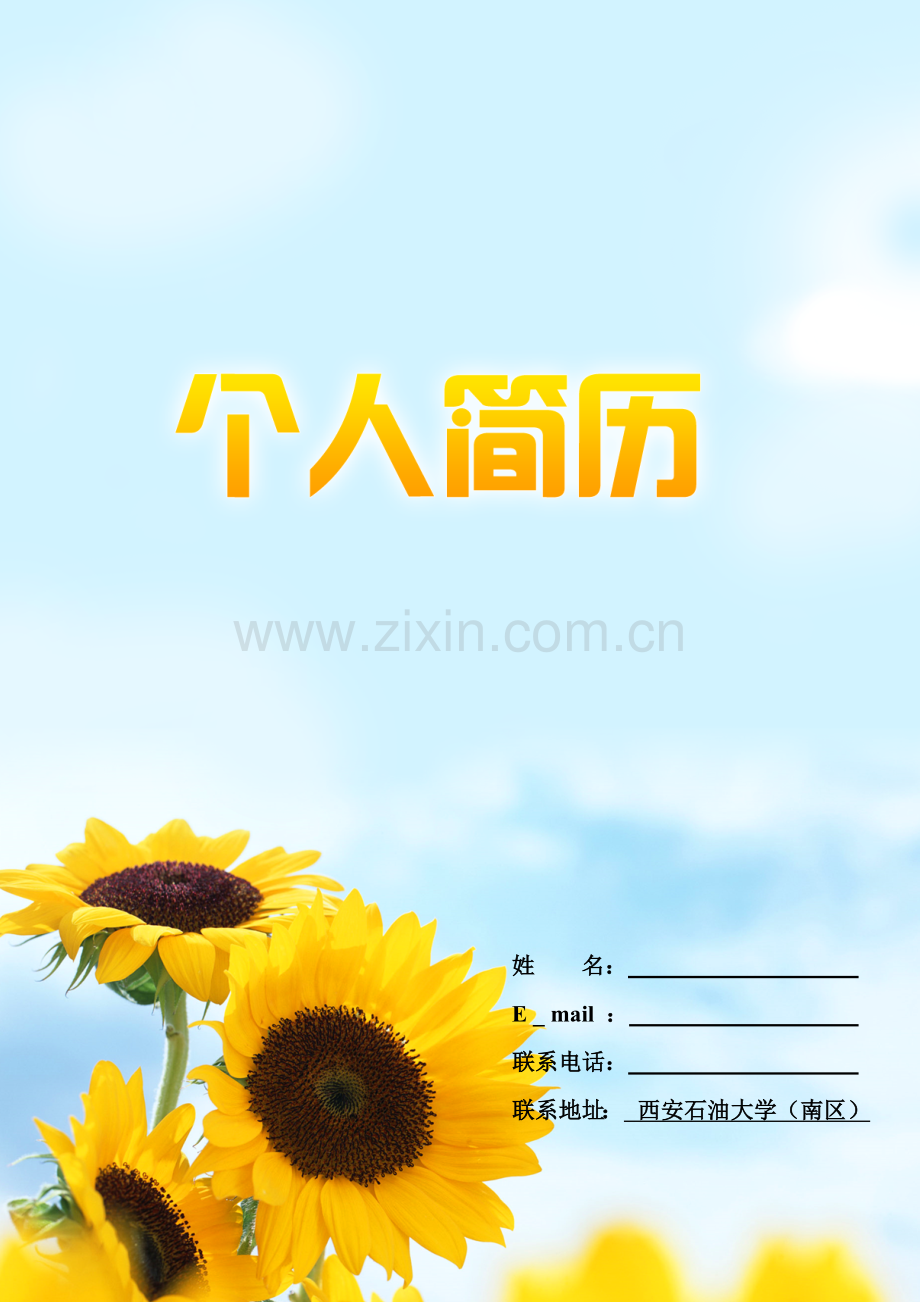 个人简历02.doc_第1页