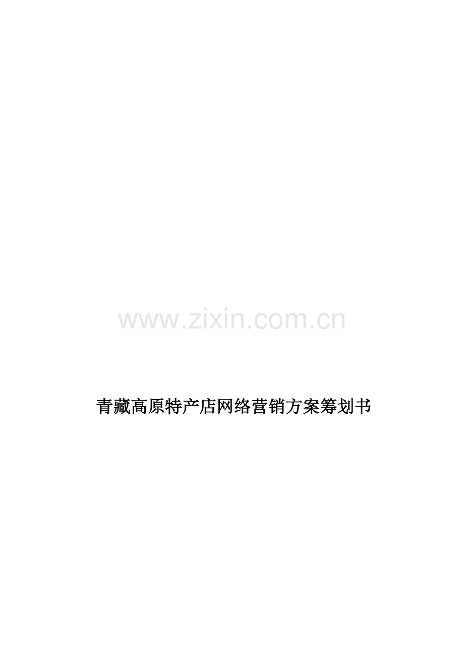 青藏高原特产店网络营销方案总结.doc_第1页