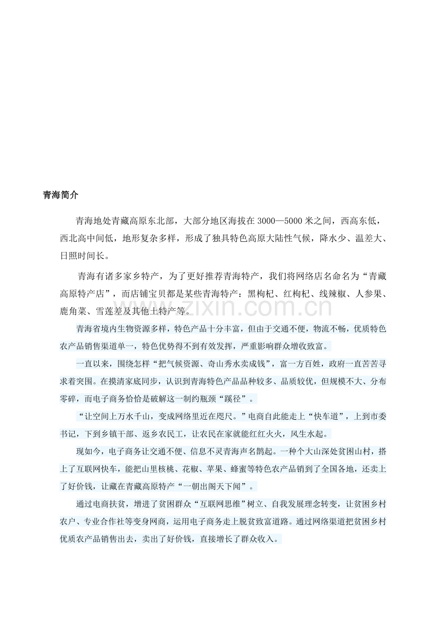 青藏高原特产店网络营销方案总结.doc_第2页