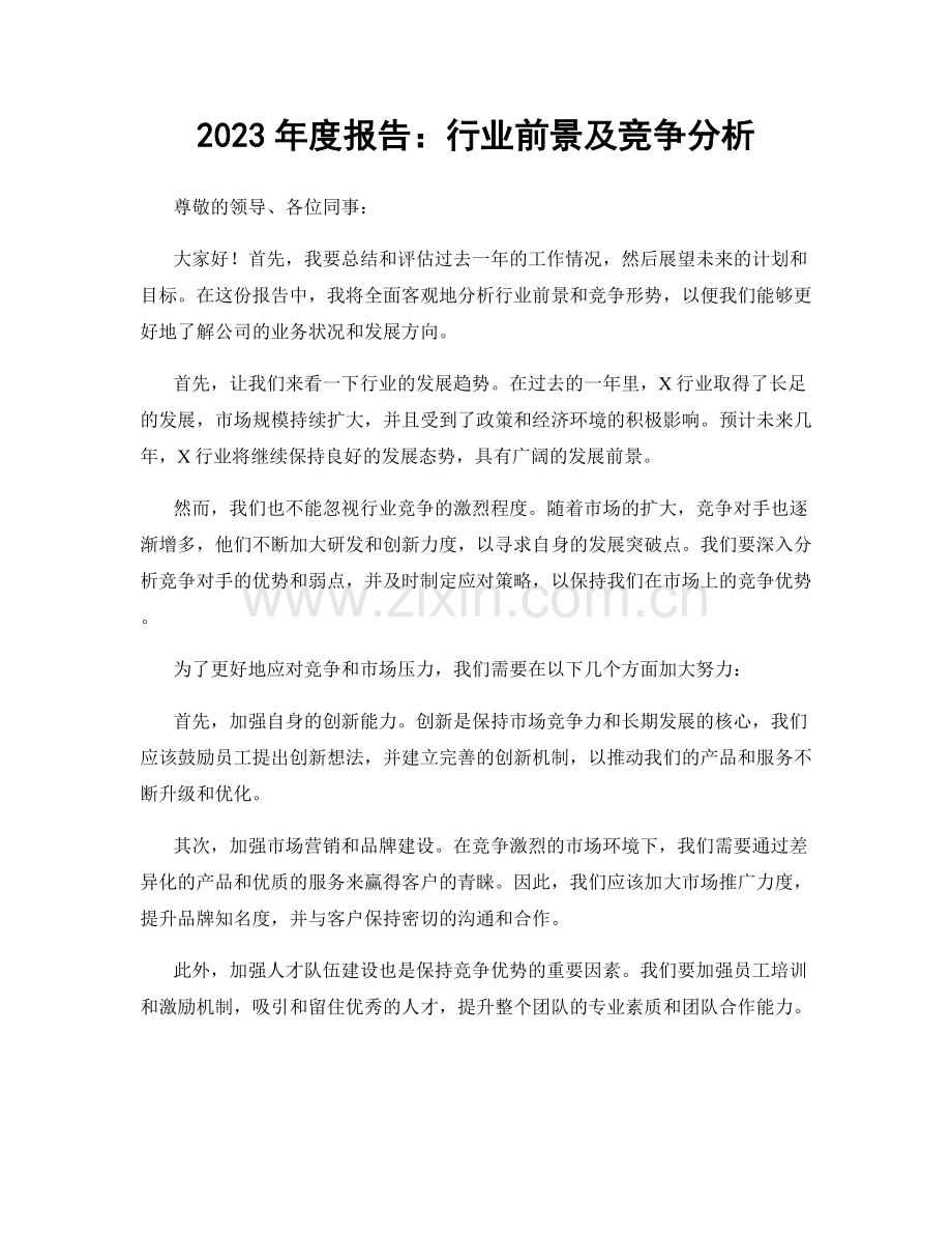 2023年度报告：行业前景及竞争分析.docx_第1页