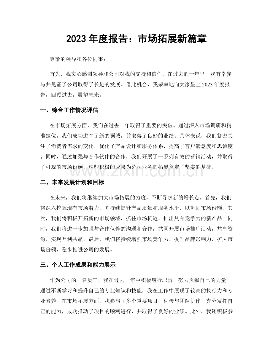 2023年度报告：市场拓展新篇章.docx_第1页
