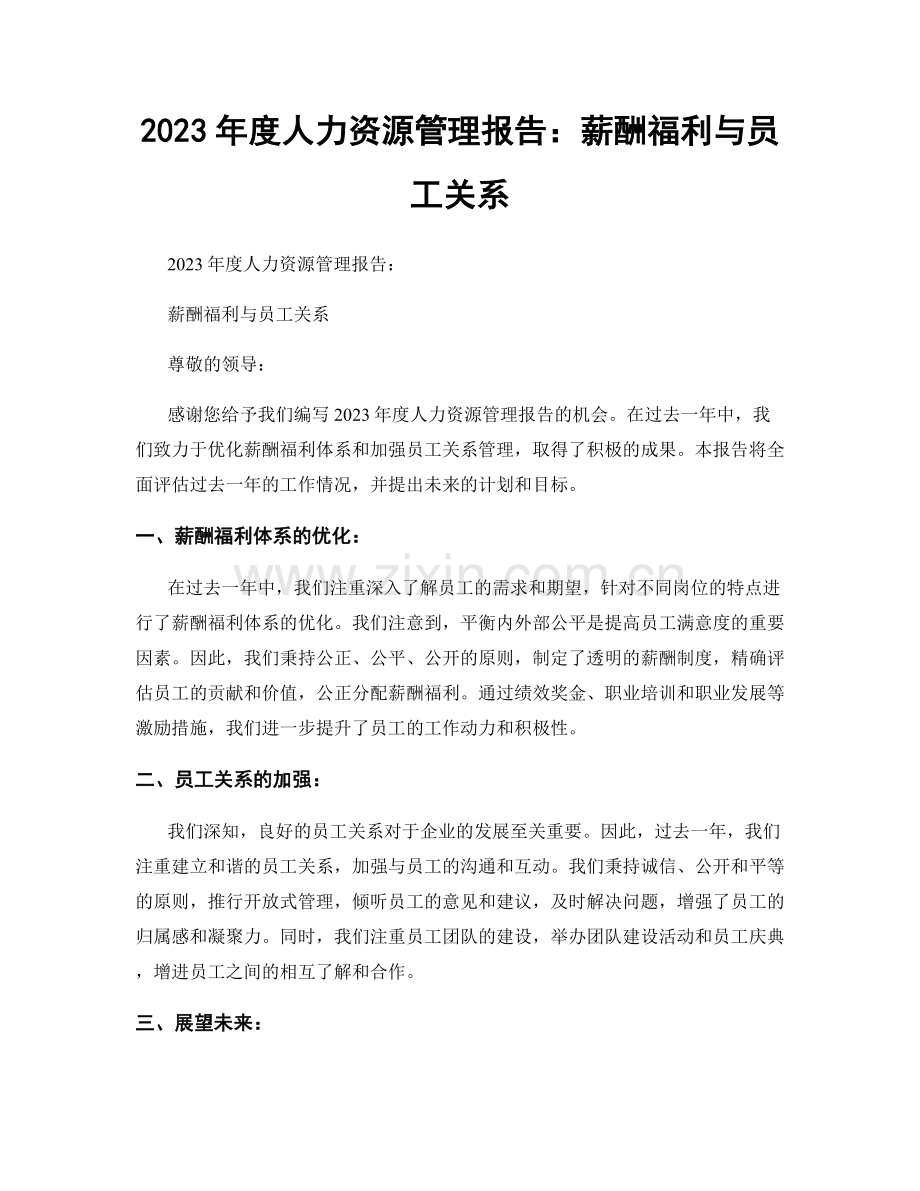 2023年度人力资源管理报告：薪酬福利与员工关系.docx_第1页
