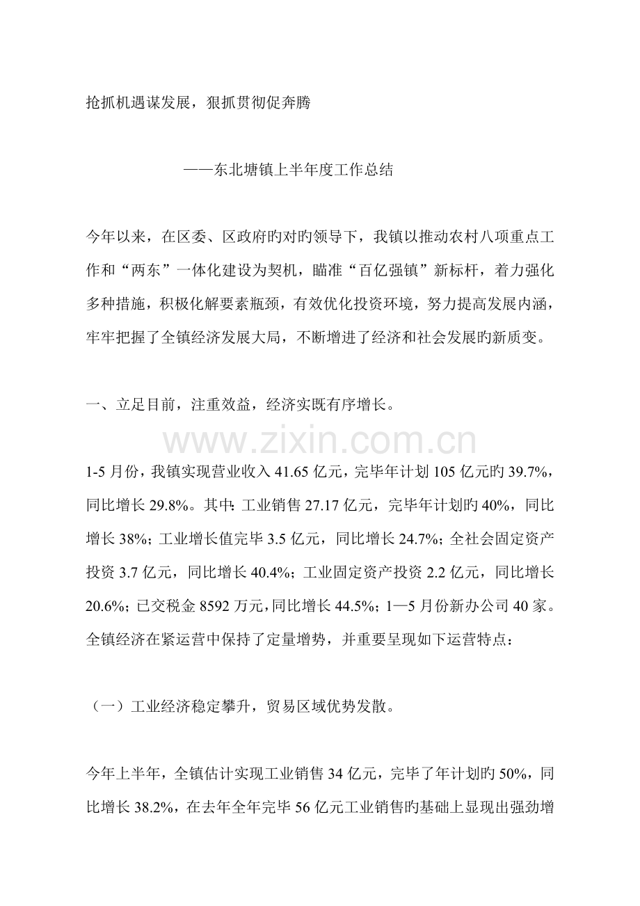 半年度工作总结及下半年工作思路.doc_第1页