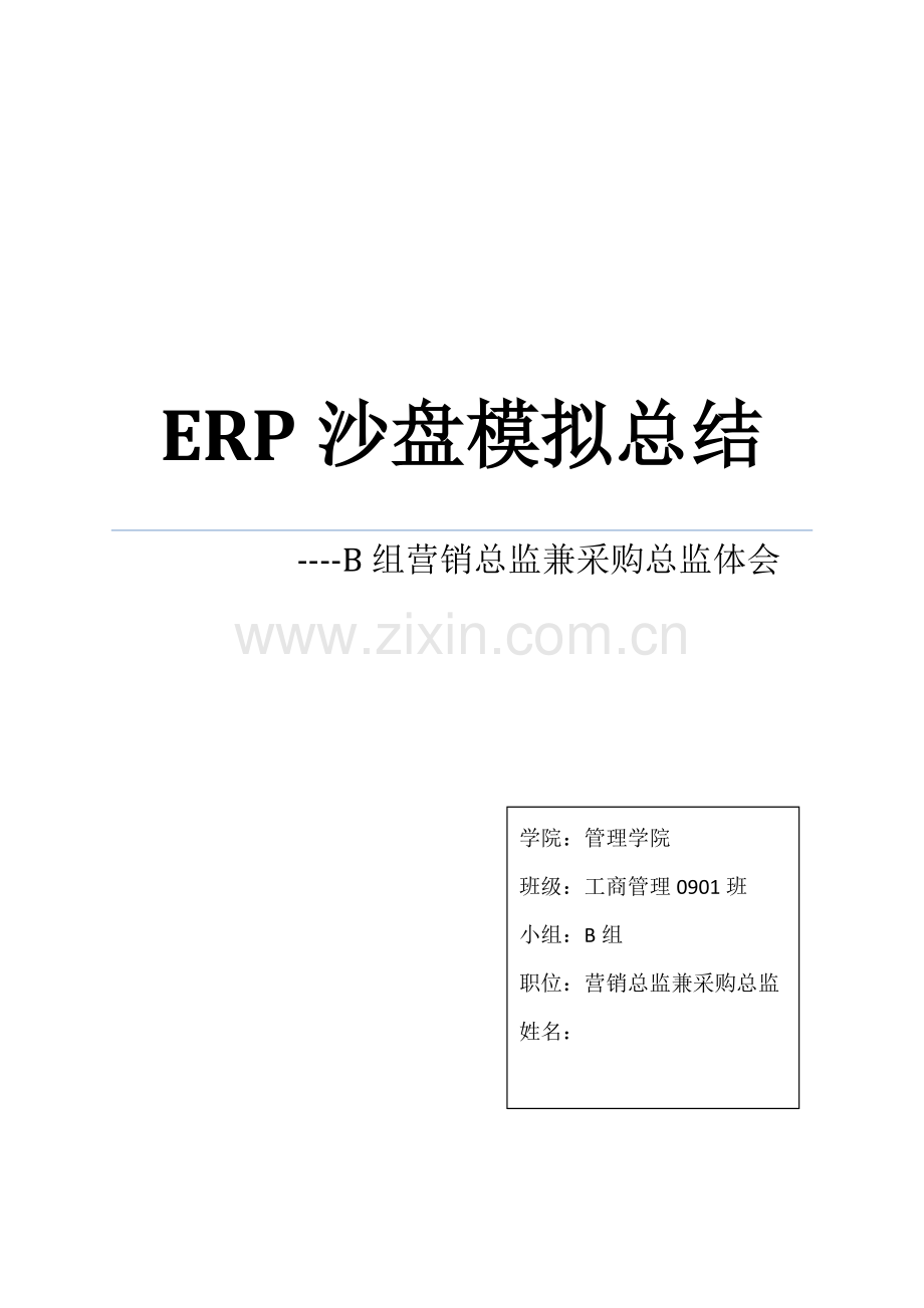 B组ERP沙盘模拟总结之营销总监.docx_第1页
