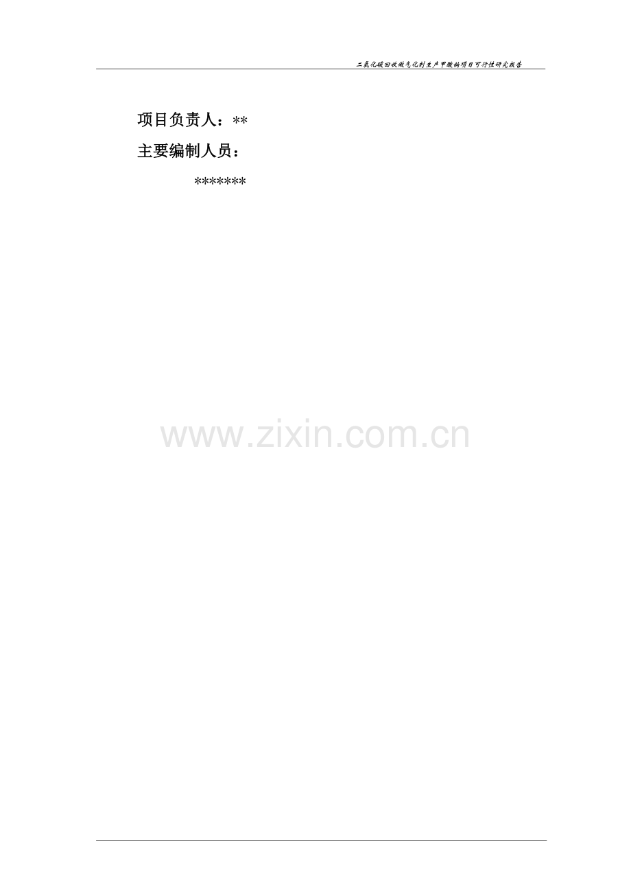 二氧化碳回收做气化生产甲酸钠可行性策划书.doc_第2页