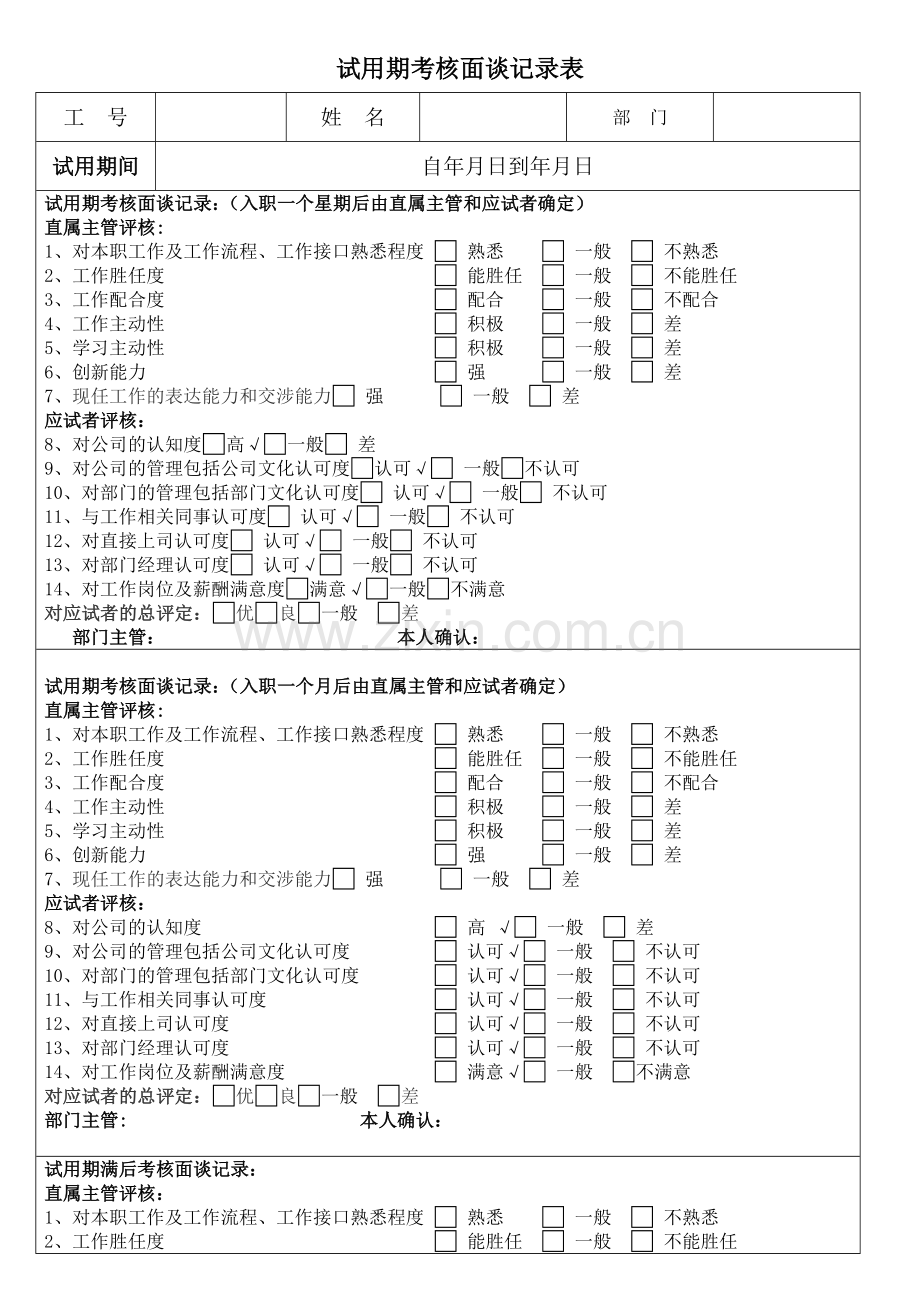 试用期考核面谈记录表完整.doc_第2页