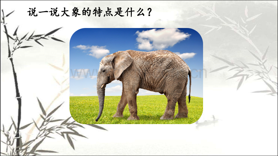 大象的耳朵公开课课件.ppt_第2页