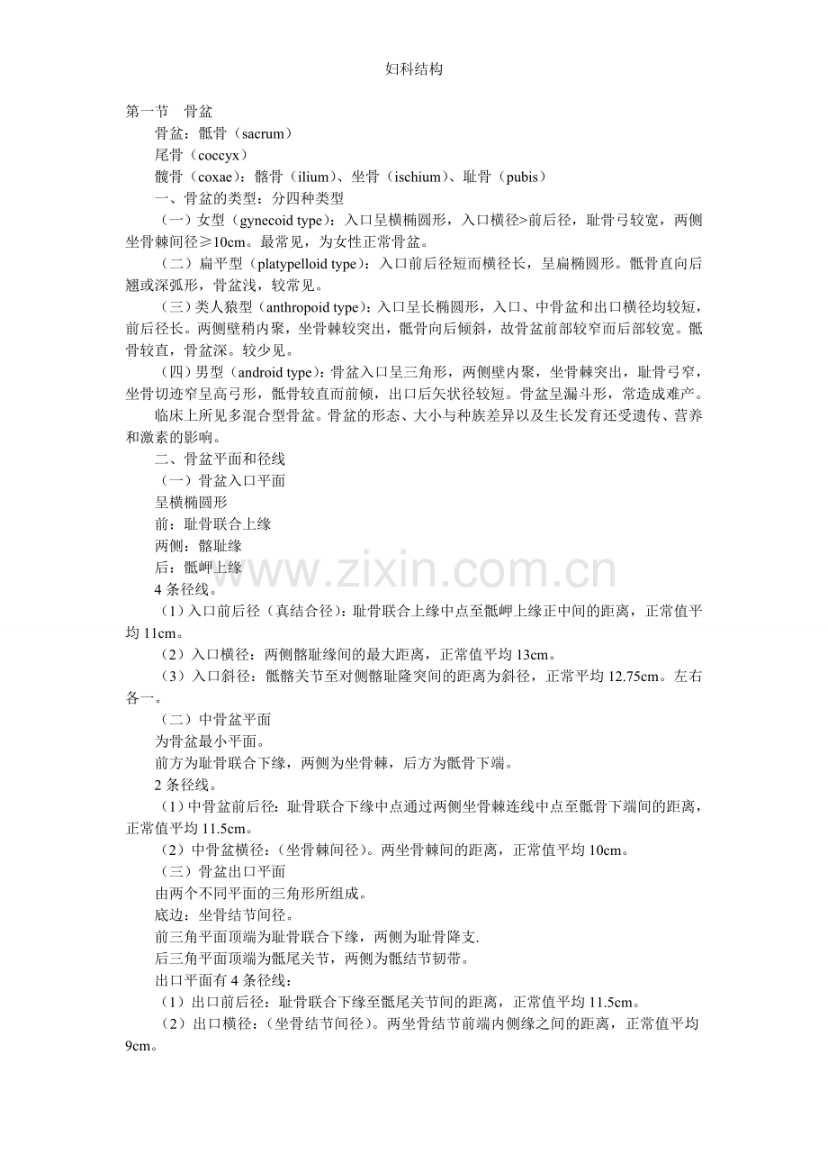 妇科结构.doc_第1页