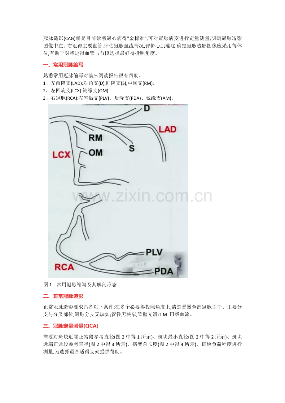 冠脉造影阅片总结.doc_第1页