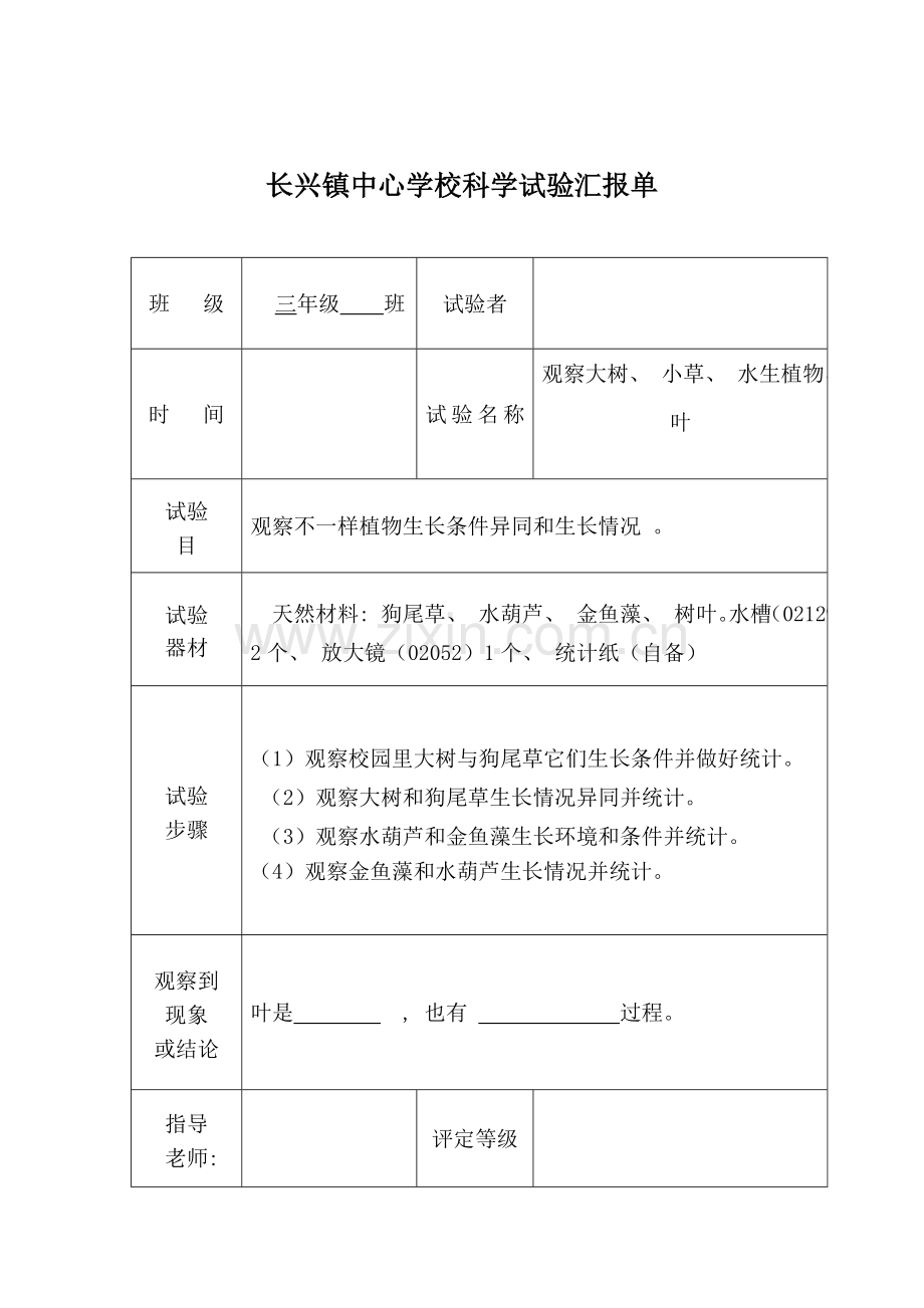 2021年三年级上册实验报告单新编.doc_第2页