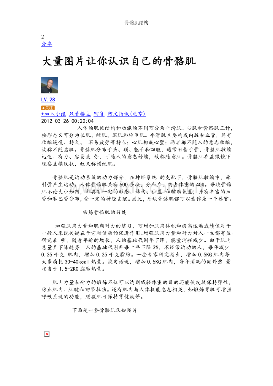骨骼肌结构.doc_第1页