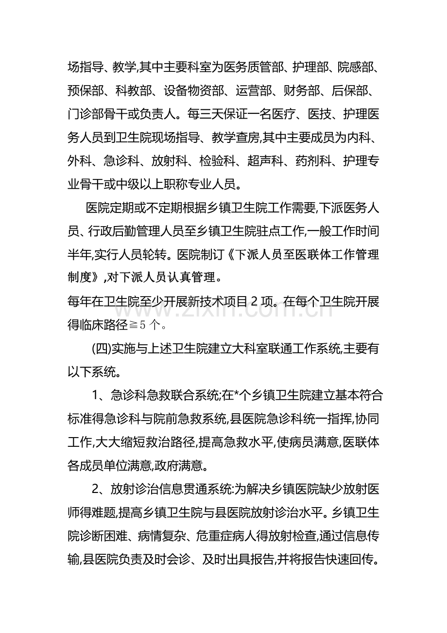 医联体实施方案.doc_第2页