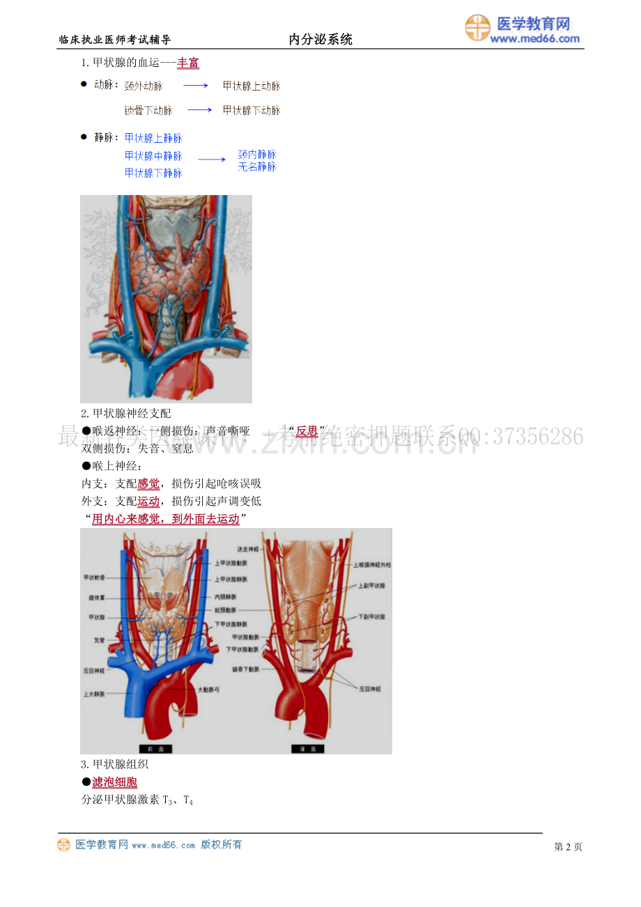 执业医师-甲状腺疾病.doc_第2页