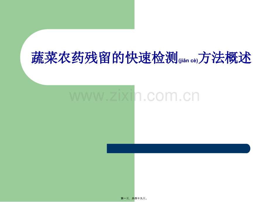蔬菜农药残留的快速检测技术剖析.ppt_第1页