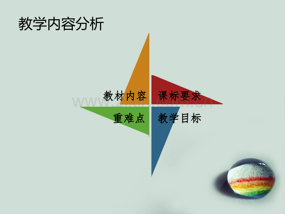 腔肠动物和扁形动物说课.ppt_第2页