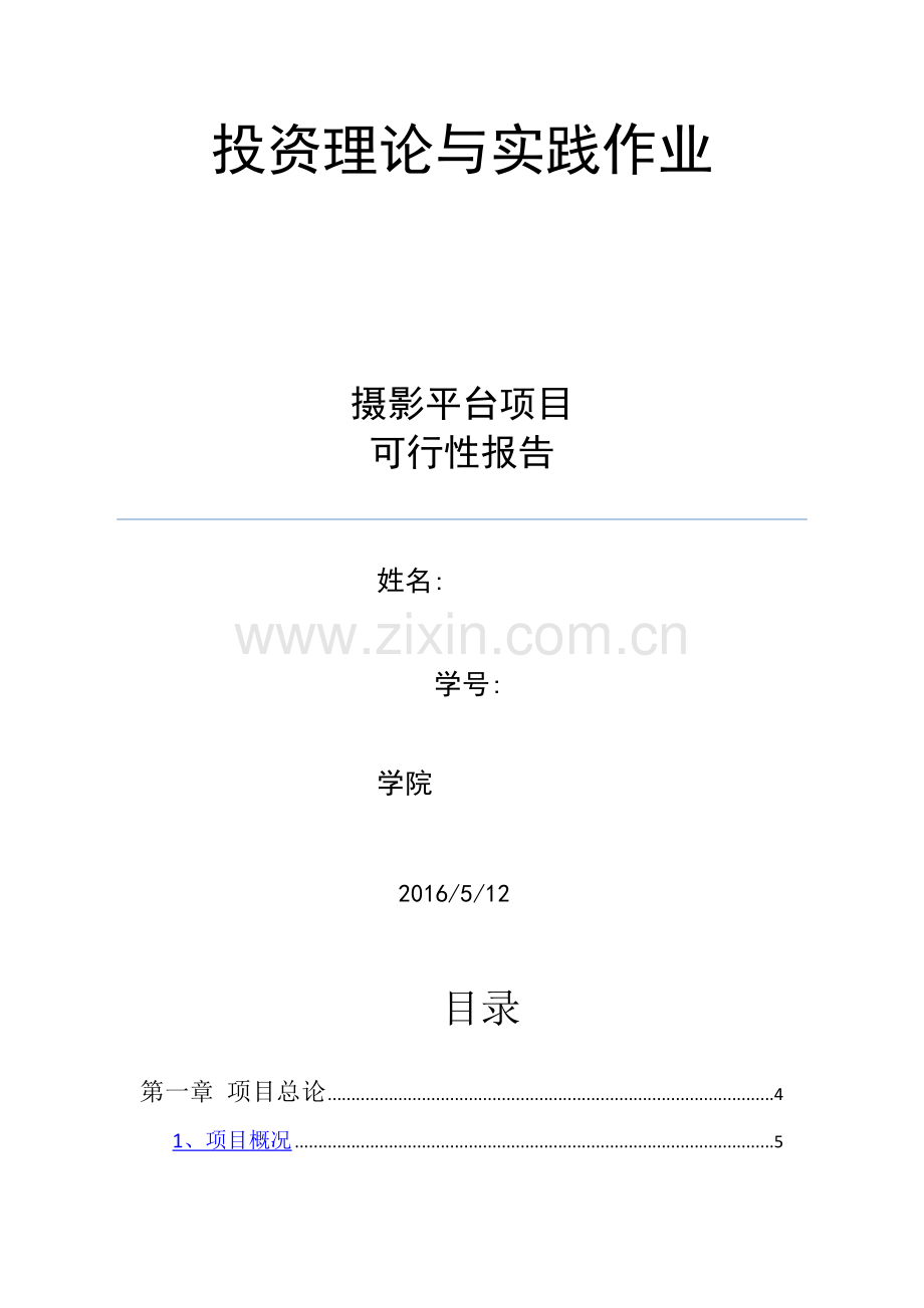摄影平台可行性报告.doc_第1页