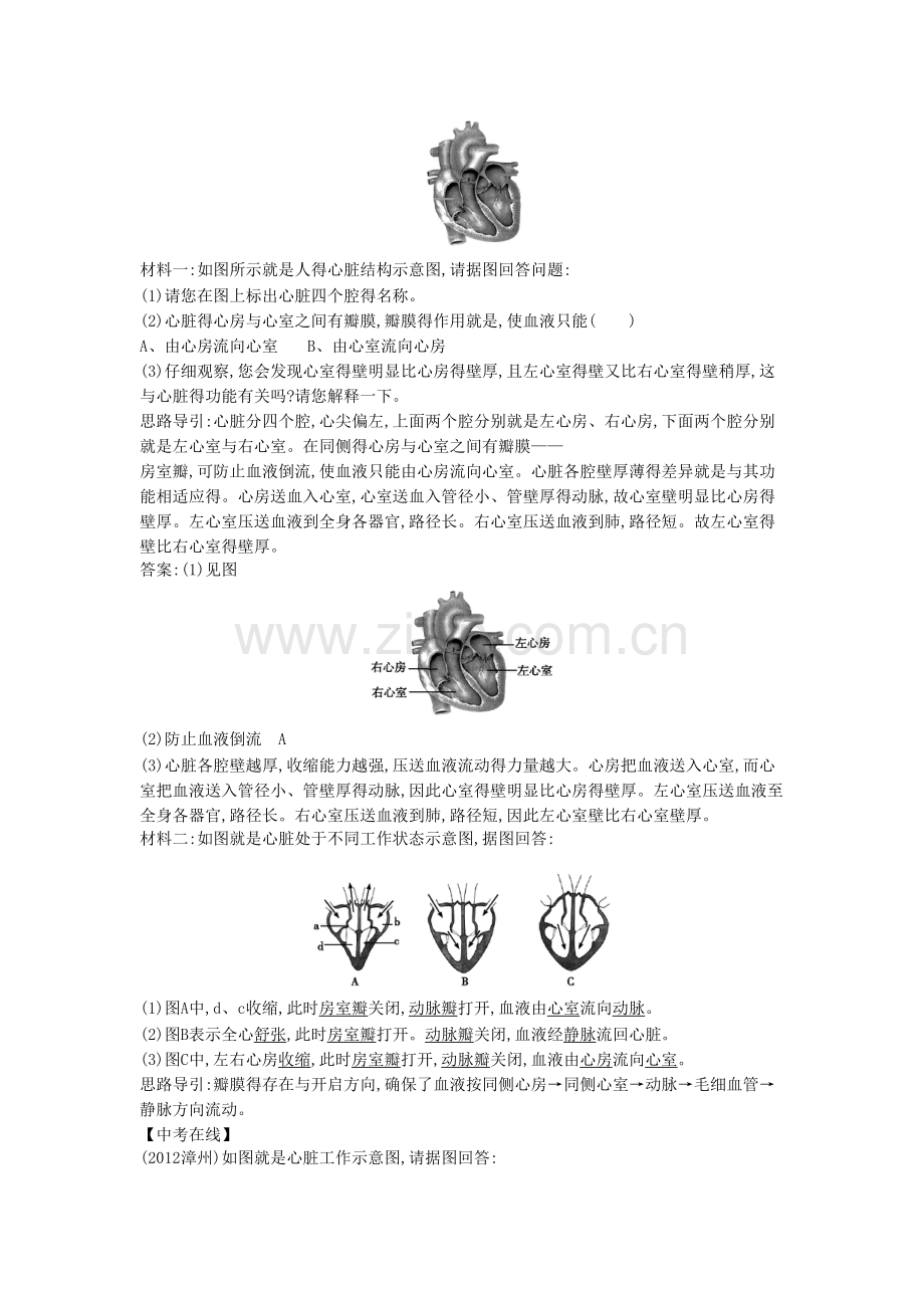 第三节输送血液的泵心脏.doc_第2页