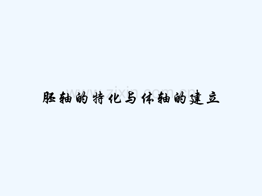 胚轴的特化与体轴的建立.pptx_第1页